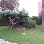 公寓 Palmeral De *