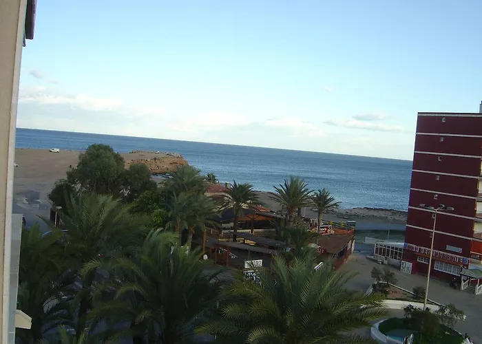 Palmeral De Apartment *