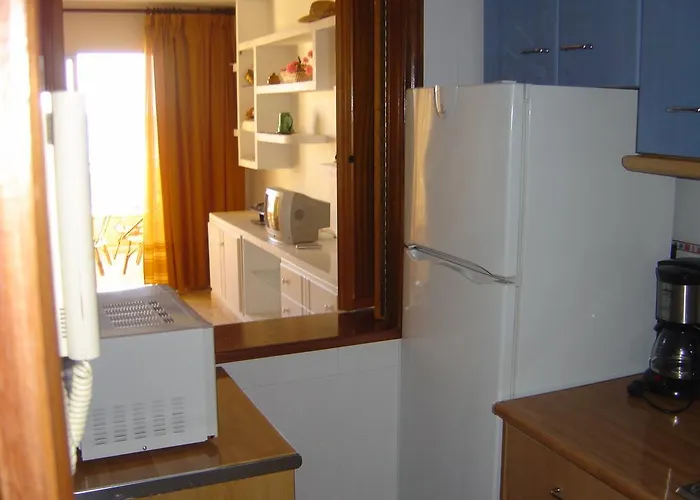 Palmeral De Torrevieja