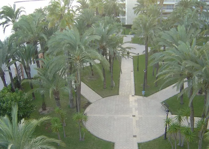 Apartment Palmeral De