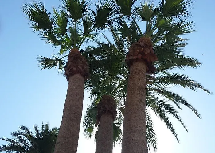 Palmeral De Apartment