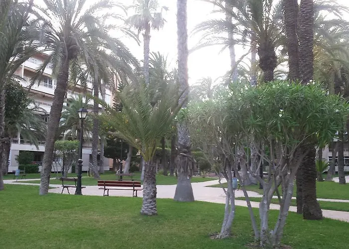 Apartment Palmeral De Torrevieja