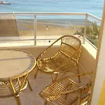Palmeral De