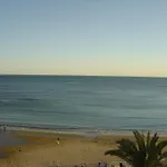 Palmeral De