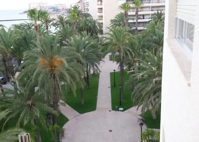 Palmeral De شقة *