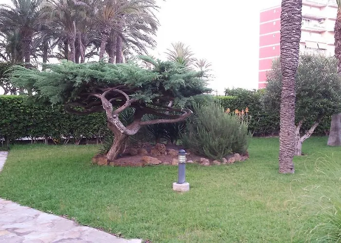 شقة Palmeral De *