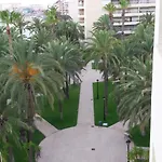 Palmeral De Appartamento *