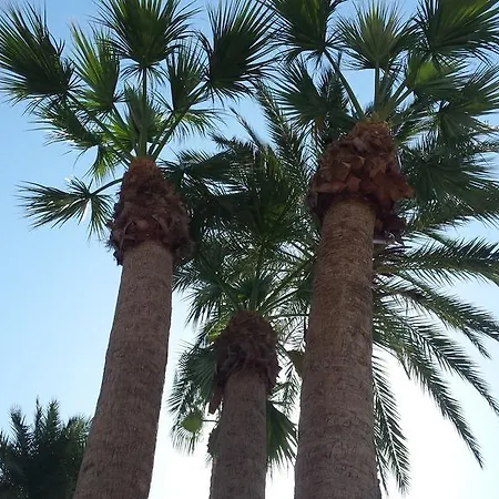 Palmeral De Апартаменты