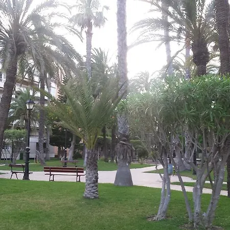 Апартаменты Palmeral De Торевьиа